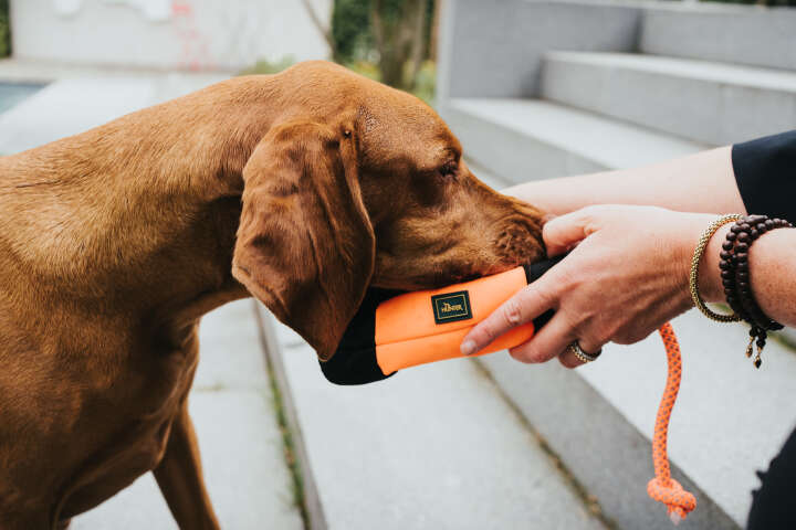 HUNTER Trainer-Snack Dummy mit Seil
